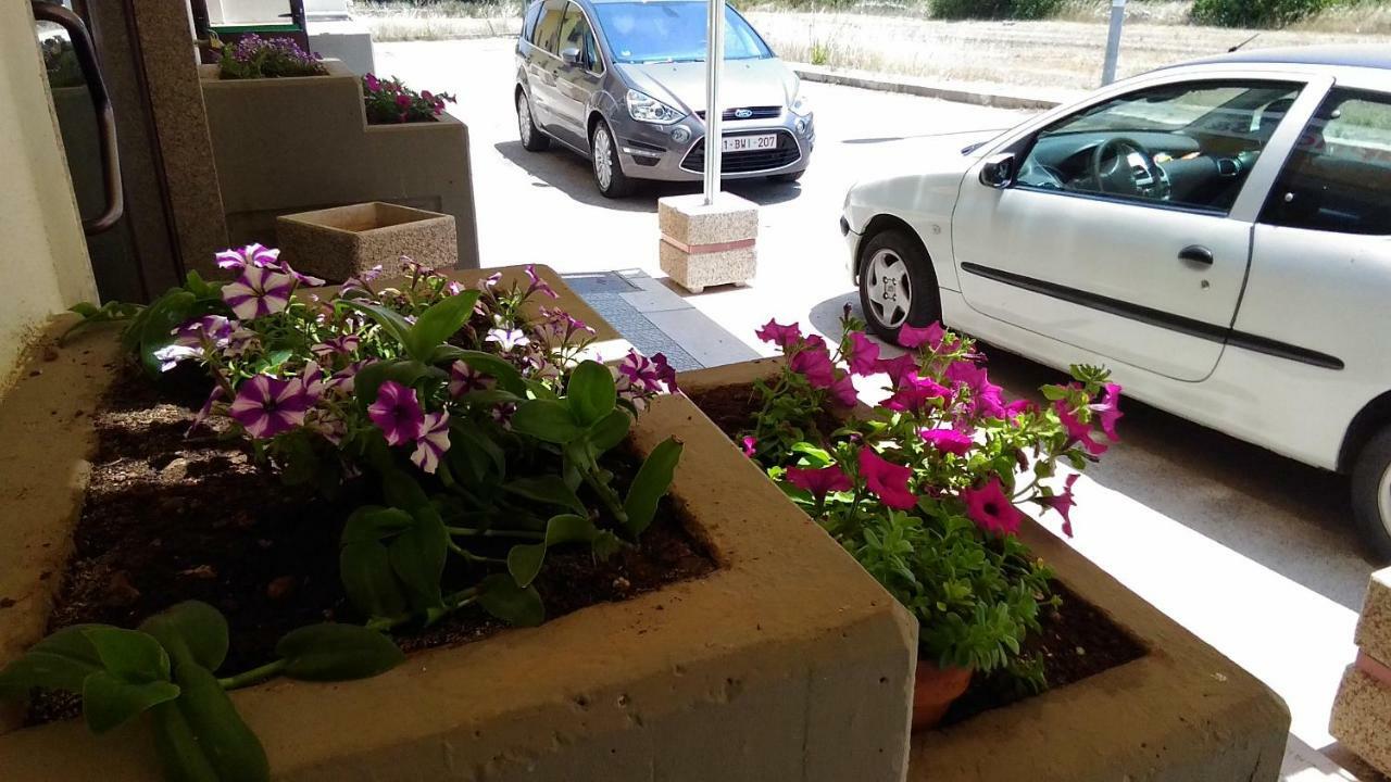 B&B La Maison Sammichele Di Bari Dış mekan fotoğraf